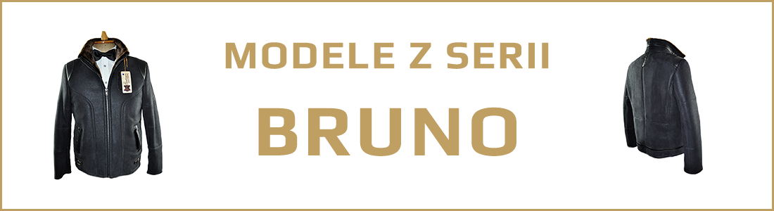 Modele BRUNO