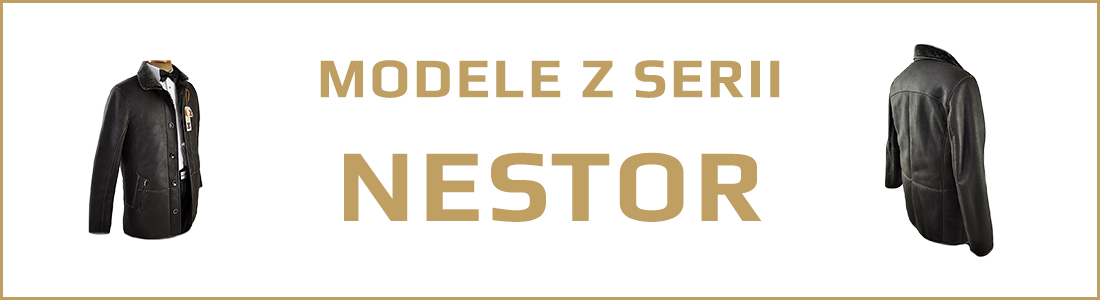 Modele NESTOR
